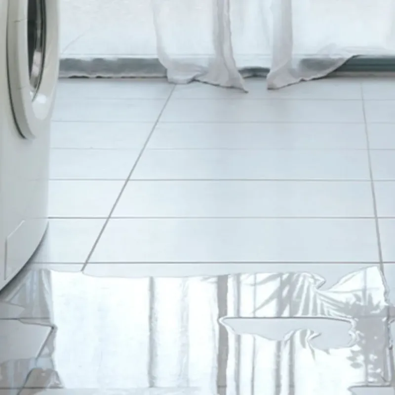 Appliance Leak Cleanup in Montevallo, AL
