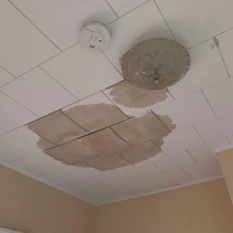 Ceiling Water Damage Repair in Montevallo, AL